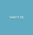 WHAT'S ICE